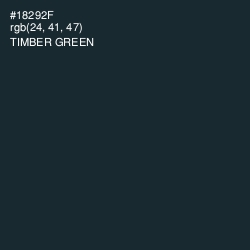 #18292F - Timber Green Color Image
